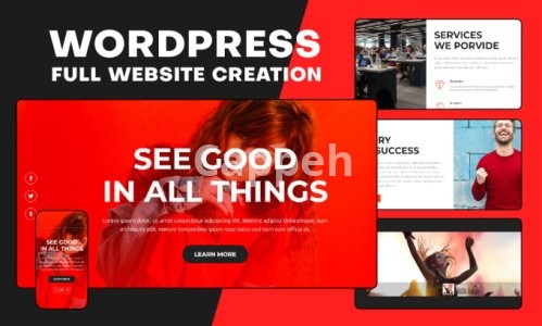 I will build, redesign responsive wordpress website design for your business