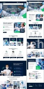 I will build wordpress website development, business website or wordpress blog website