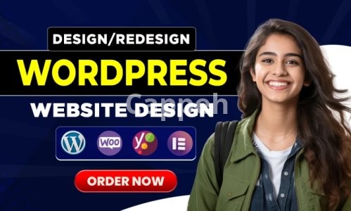 I will build wordpress website development, business website or wordpress blog website