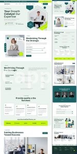 I will build your professional wix website with unlimited revisions