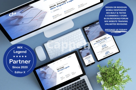 I will build your professional wix website with unlimited revisions