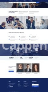 I will create wordpress website with elementor and acf or elementor pro