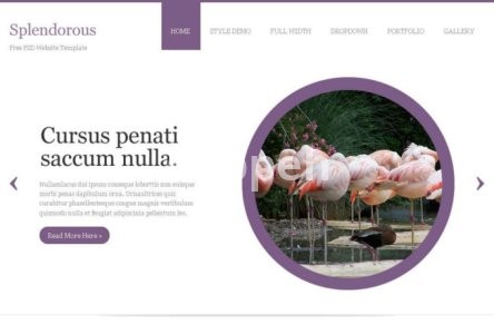 I will be divi expert for wordpress divi website, divi theme and divi builder