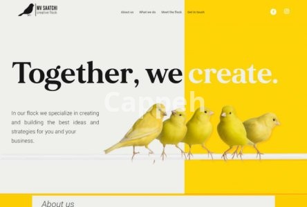 I will build you a modern wordpress website