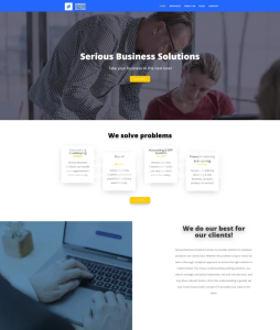 I will build you a modern wordpress website