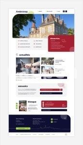 I will develop wordpress website and ecommerce store