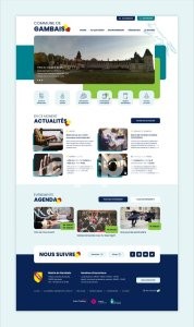 I will develop wordpress website and ecommerce store