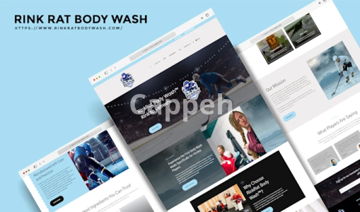 I will build a wordpress business website or shopify website for your business