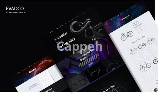 I will build a wordpress business website or shopify website for your business