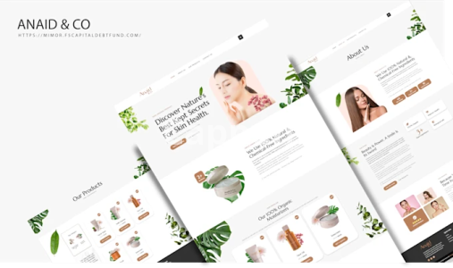 I will build a wordpress business website or shopify website for your business