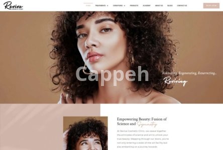 I will build a wordpress business website or shopify website for your business