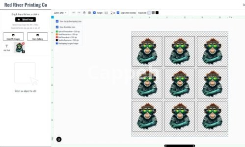 I will design your dtf printing website with shopify premium theme