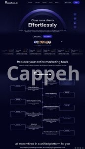 I will build an amazing 5 page wordpress website with elementor pro