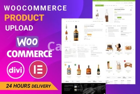 I will build wordpress woocommerce website with divi and elementor