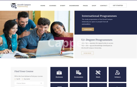 I will develop php laravel codeigniter,node website design rest api