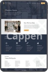 I will do squarespace website design and customization