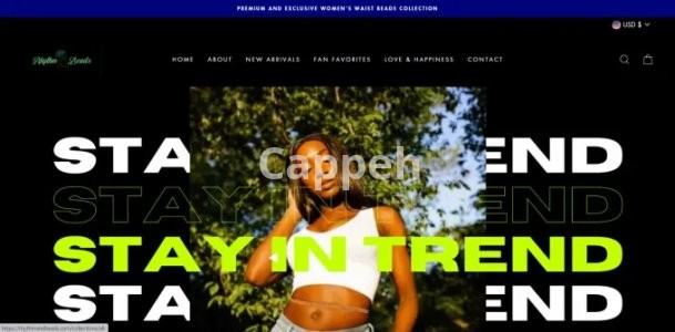 I will design a modern clothing and fashion shopify store or website