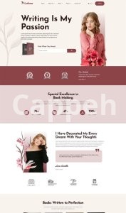 I will design redesign clone your wordpress website, landing page with elementor pro