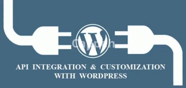 I will api integration in wordpress