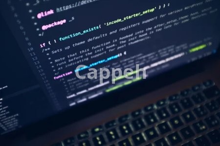 I will create a custom wordpress plugin