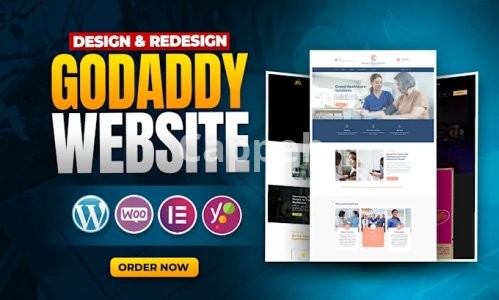 I will develop a professional and responsive godaddy website