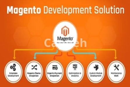 I will do magento 2 development and customization