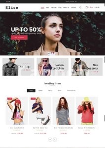 I will create a profitable ecommerce shopify dropshipping store website