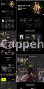 I will create a profitable shopify dropshipping store, SEO optimized ecommerce website