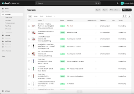 I will integrate your store with vidaxl dropshipping service