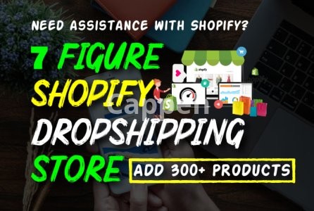 I will create simple and clean 7 figure shopify dropshipping store