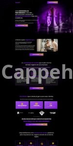 I will design or clone shopify landing page with replo, pagefly or gempages