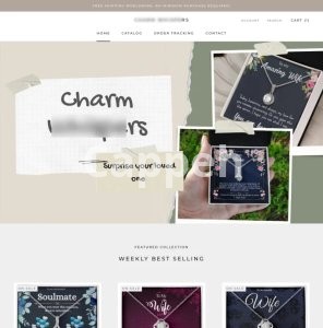 I will create automated aliexpress dropshipping shopify store shopify website