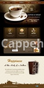 I will launch private label coffee shopify store, tea brand website