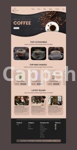 I will launch private label coffee shopify store, tea brand website