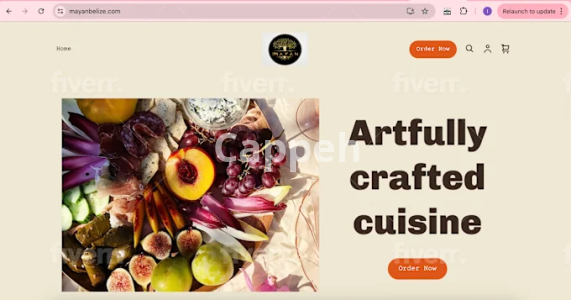 I will shopify pod store with printify, printful