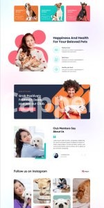 I will build a profitable dog and cat pet shopify store pet dropshipping website