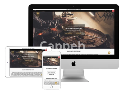 I will launch your private label coffee brand on shopify