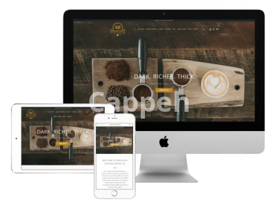 I will launch your private label coffee brand on shopify