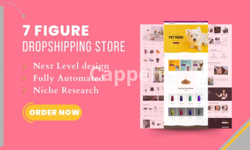 I will build 7 figures shopify aliexpress dropshipping store