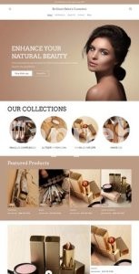 I will build 7 figures shopify aliexpress dropshipping store