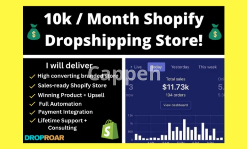 I will build a 10k per month branded shopify dropshipping store