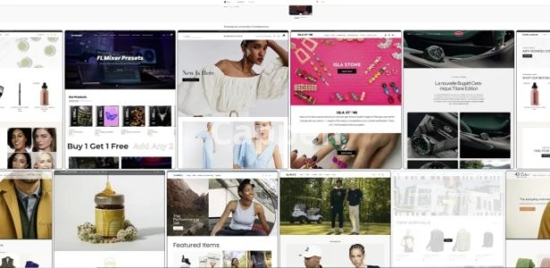 I will do premium theme installation for shopify