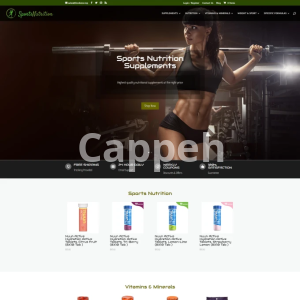 I will create a turnkey dropship website, startup online store