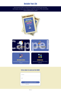 I will create aweber landing page, wordpress landing page wordpress elementor