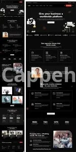 I will convert figma to webflow, webflow expert