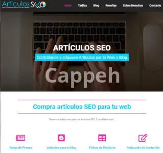I will design your website in wordpress in spanish and english