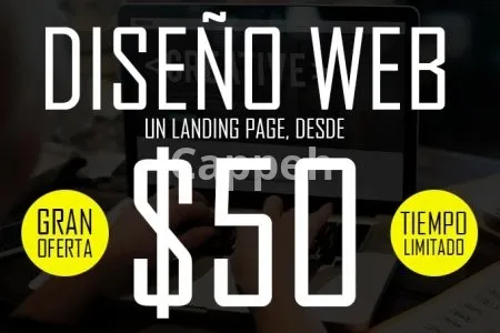 I will design your website in wordpress in spanish and english