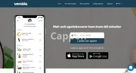 I will design, develop, debug and deploy wordpress website