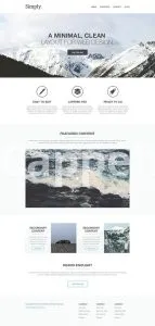 I will create canva website design, newsletter, and landing page using a pro account