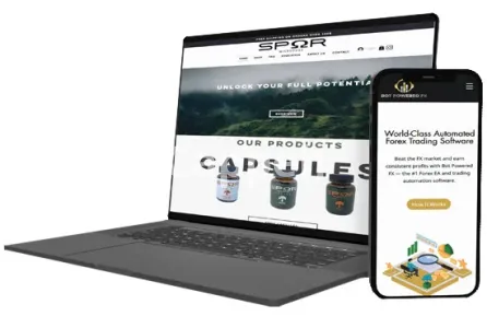 I will build your professional wix website with unlimited revisions